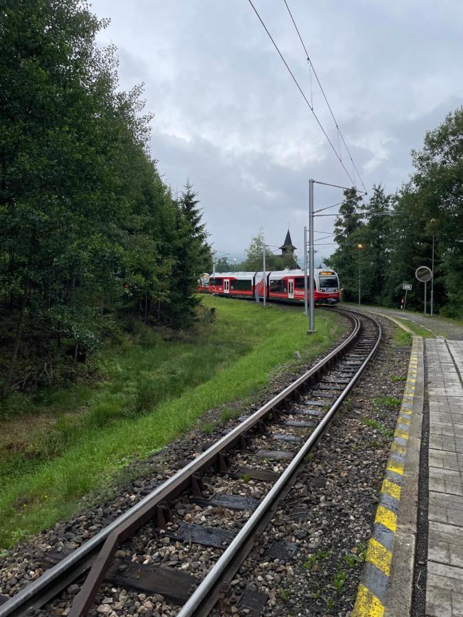 Vila Kollar Vysoké Tatry Eksteriør billede