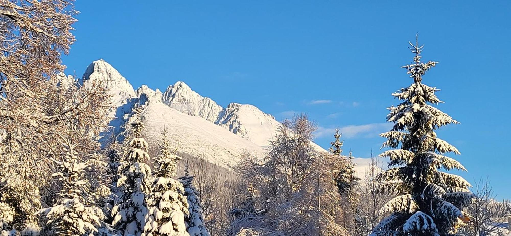 Vila Kollar Vysoké Tatry Eksteriør billede